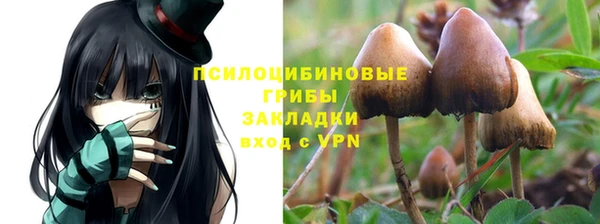стаф Армянск