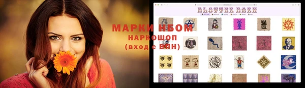 гашик Снежногорск