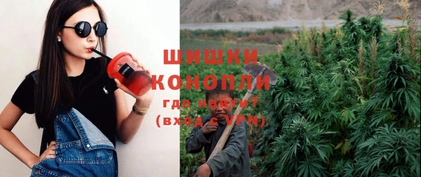 apvp Аркадак